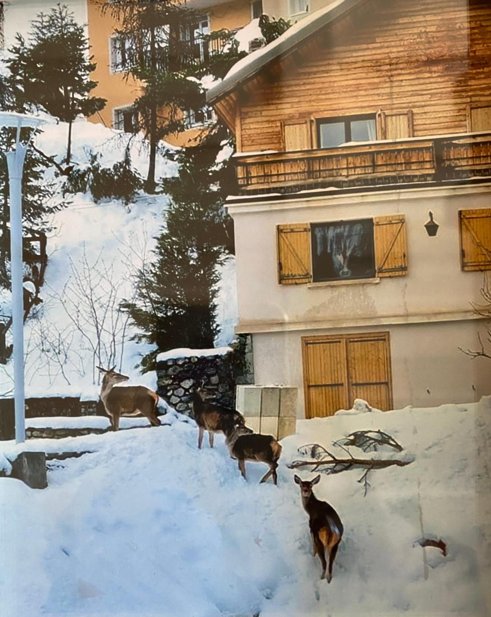 Chalet Familial Auron Exterior photo